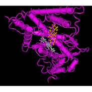 Fine tuning Abiraterone treatment