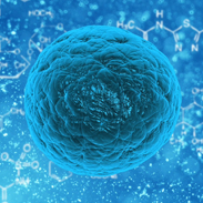 Prostate tumour growth driven by onecut2