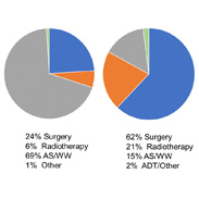 An update on prostate cancer diagnosis, treatment and outcomes 2015-2016