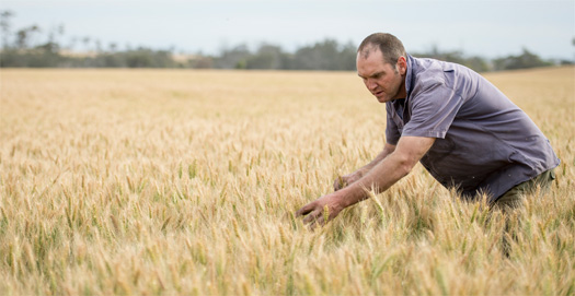 Man living in outside metropolitan areas in Australia