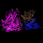 Antibodies for treating prostate cancer